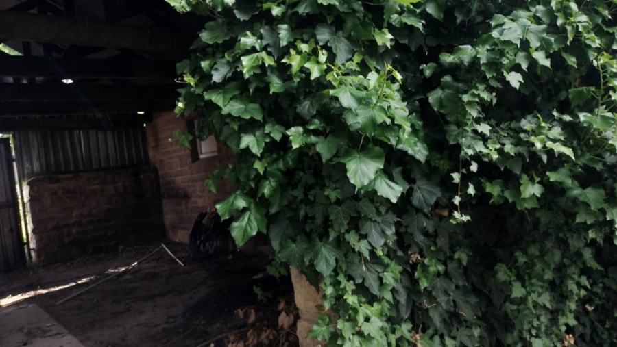 3 Bedroom Property for Sale in Ladybrand Free State